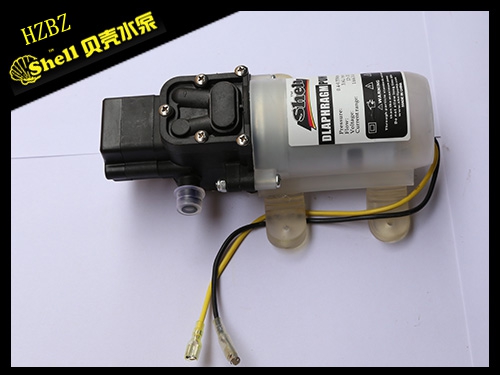 Garden humidification pump